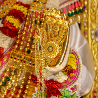 Daily Darshan